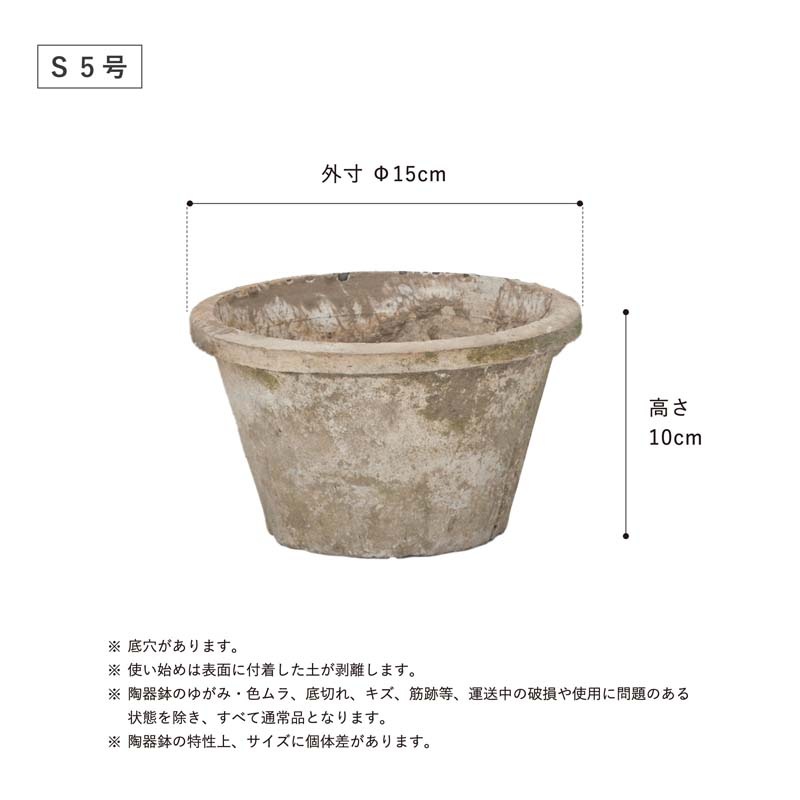 ����������� ����ƥ������ۥ磻��