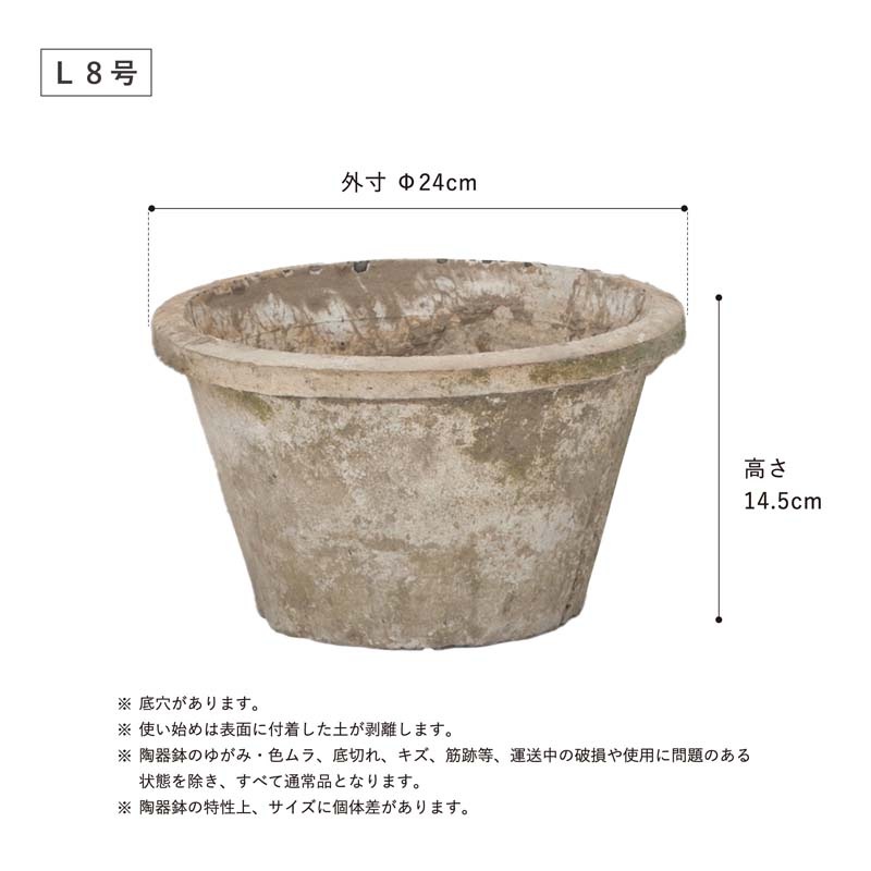 ����������� ����ƥ������ۥ磻��