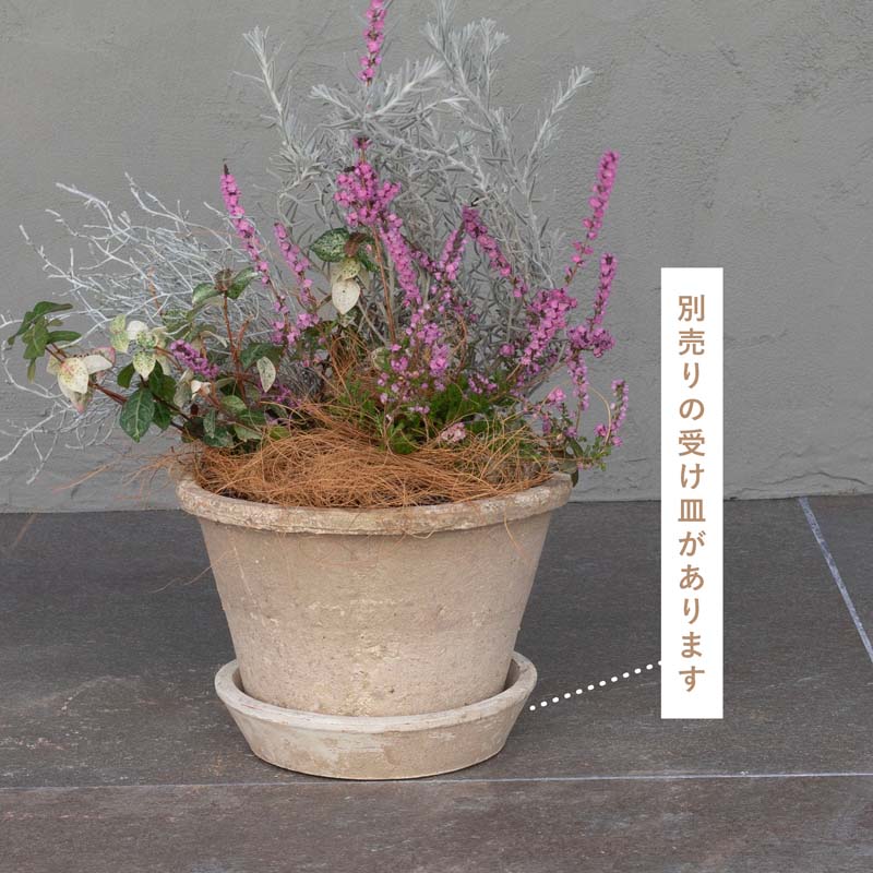 ����������� ����ƥ������ۥ磻��