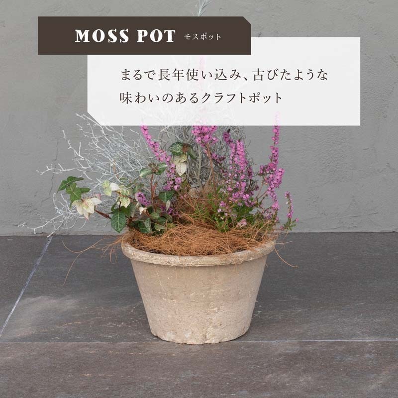 ����������� ����ƥ������ۥ磻��