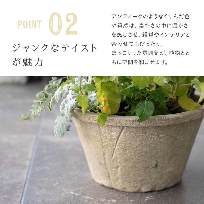 ����������� ����ƥ������ۥ磻��