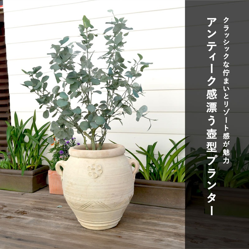 ���쥹�ȥ��㡼