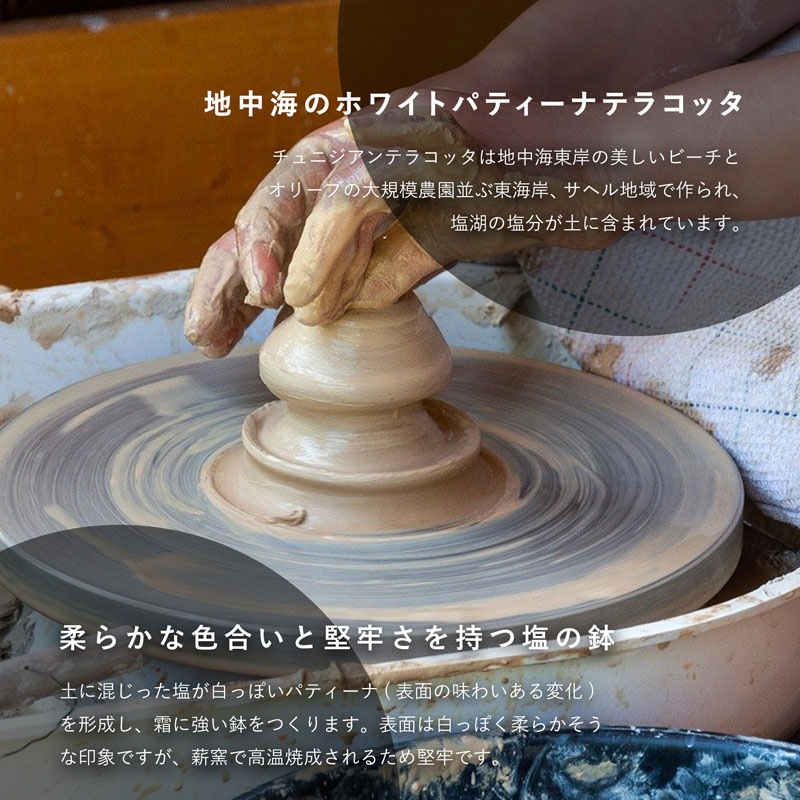 ���쥹�ȥ��㡼