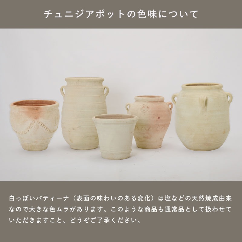 ���쥹�ȥ��㡼