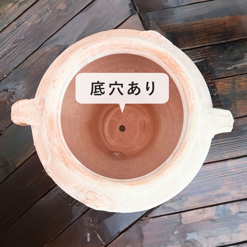 ���쥹�ȥ��㡼