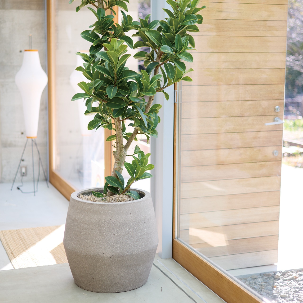 パボ ジャー | モノ・ストーン | 植木鉢・テラコッタとプランターの