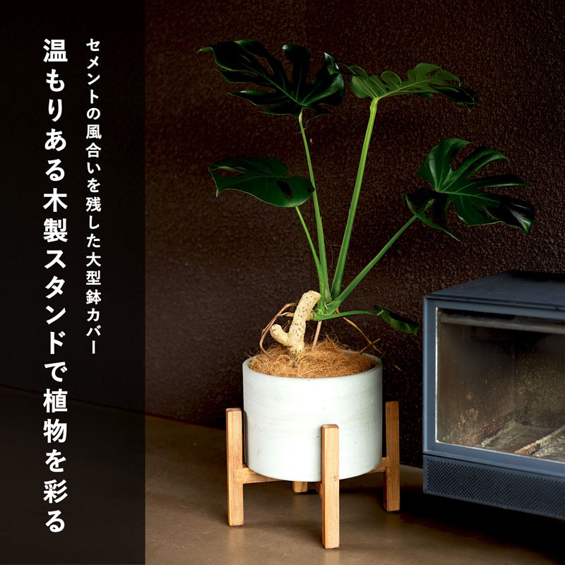 ���å��� ���� �����������������