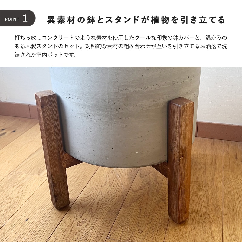 ���å��� ���� �����������������