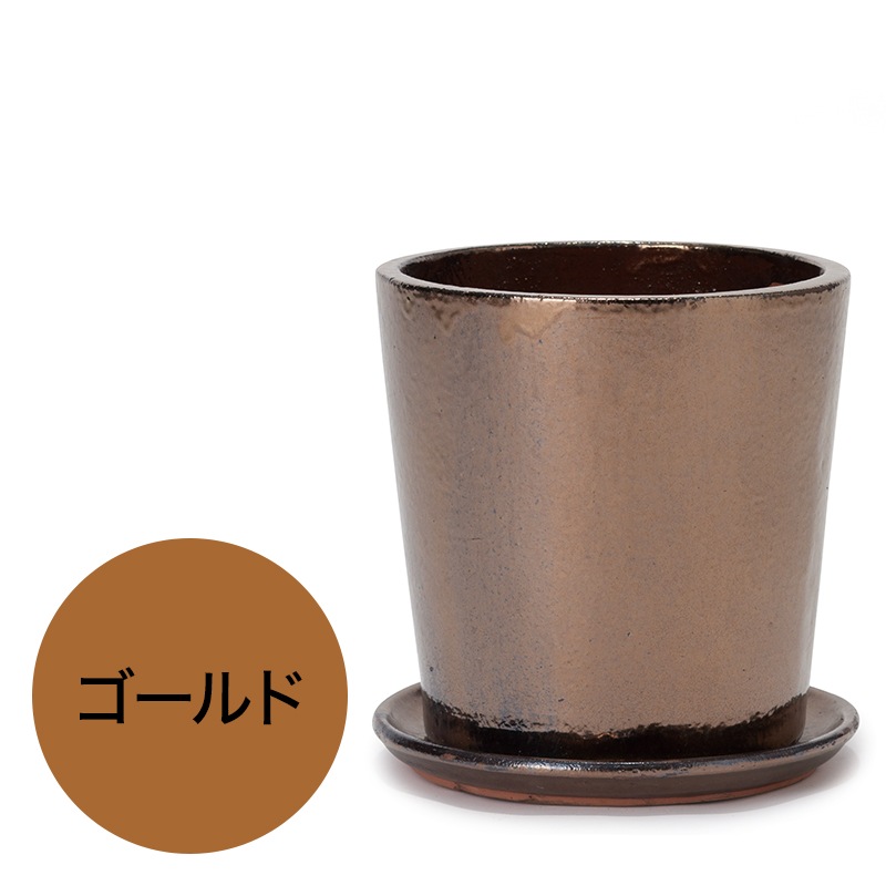 ���� �������դ�