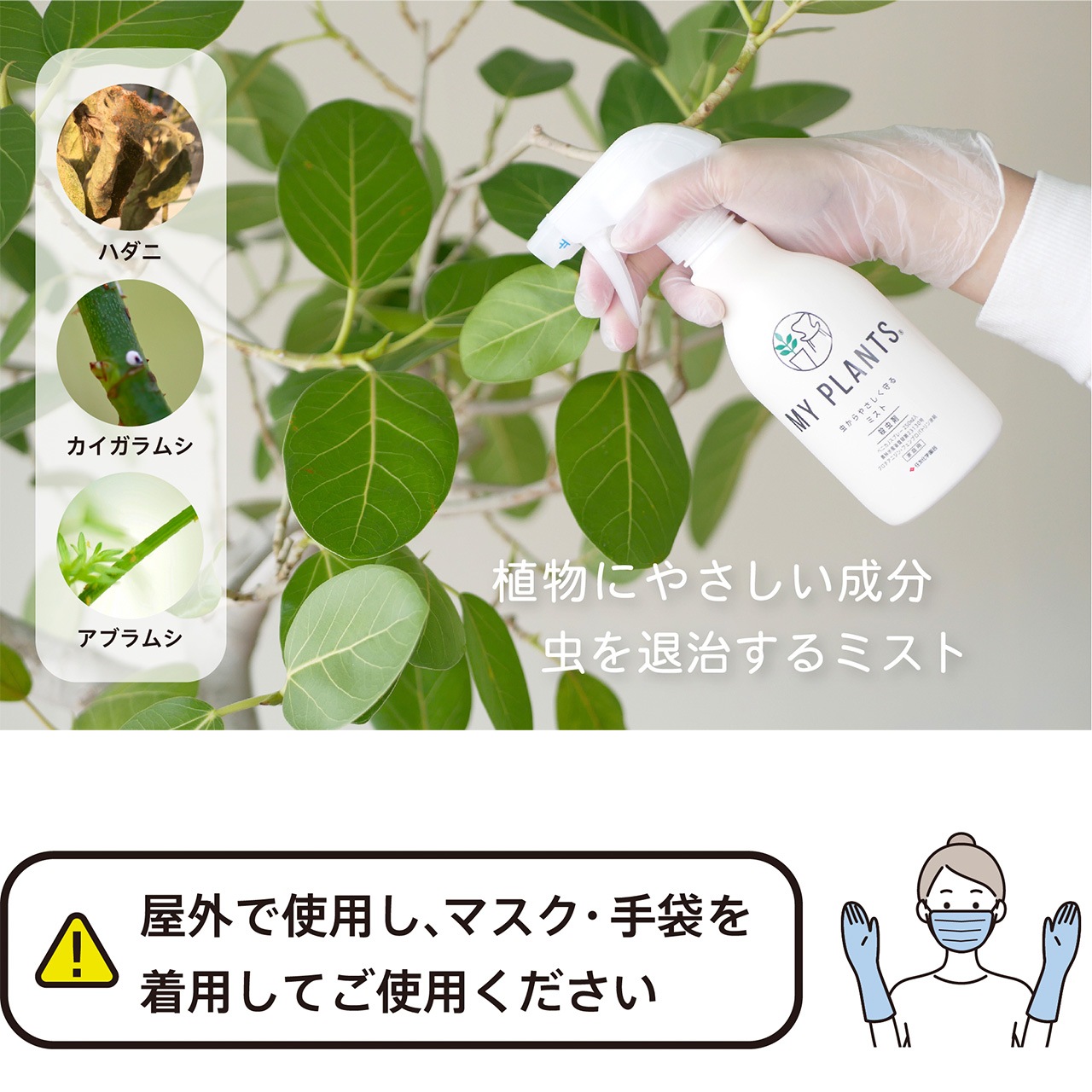 MY PLANTS ���䤵�������ߥ���