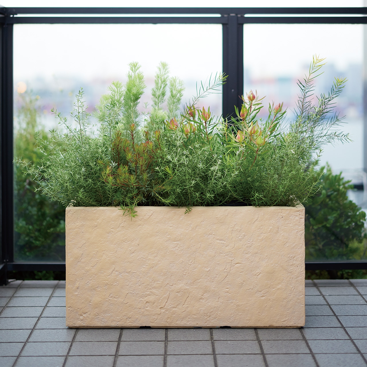 園芸 インテリア ポット ラムダ・スリム 長角プランター　ベアロック M 80/B 1個入り fm-012g80g [p153] （代引き不可） 園芸 インテリア ポット ラムダ・スリム 長角プランター M 80&frasl;B 1個