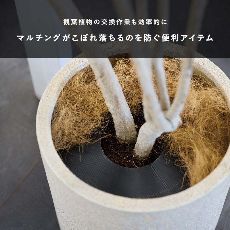 �ޥ���󥰥ܡ���(2������)