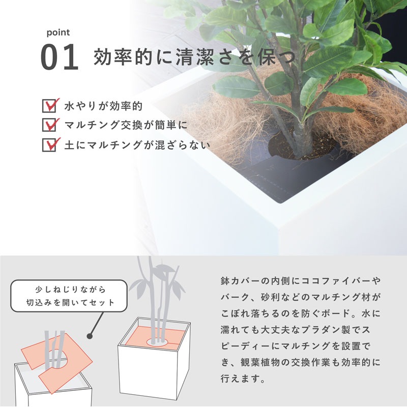 �ޥ���󥰥ܡ���(2������)