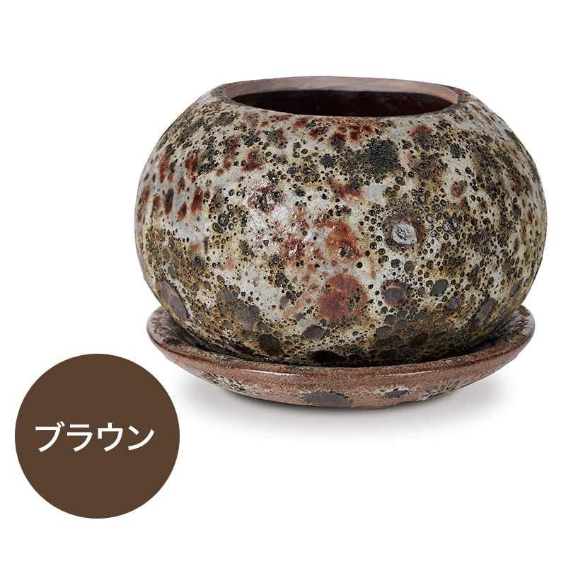 �ϡ��쥤 �ܥ��� �������դ�