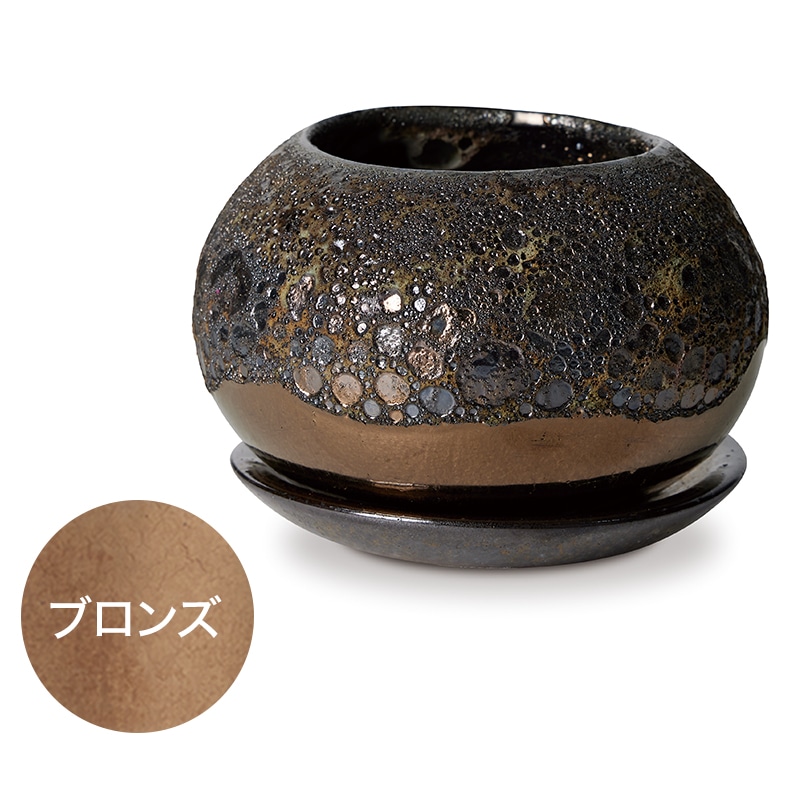 �ϡ��쥤 �ܥ��� �������դ�