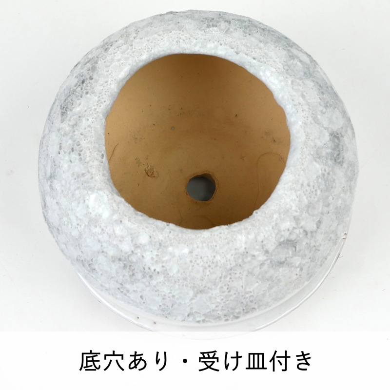 �ϡ��쥤 �ܥ��� �������դ�