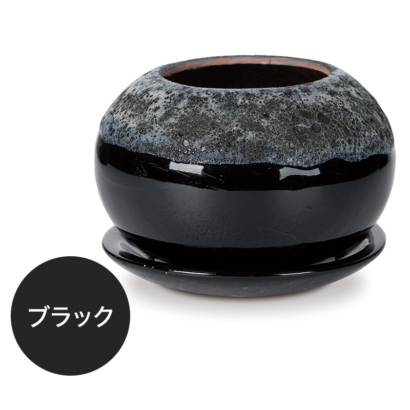 �ϡ��쥤 �ܥ��� �������դ�