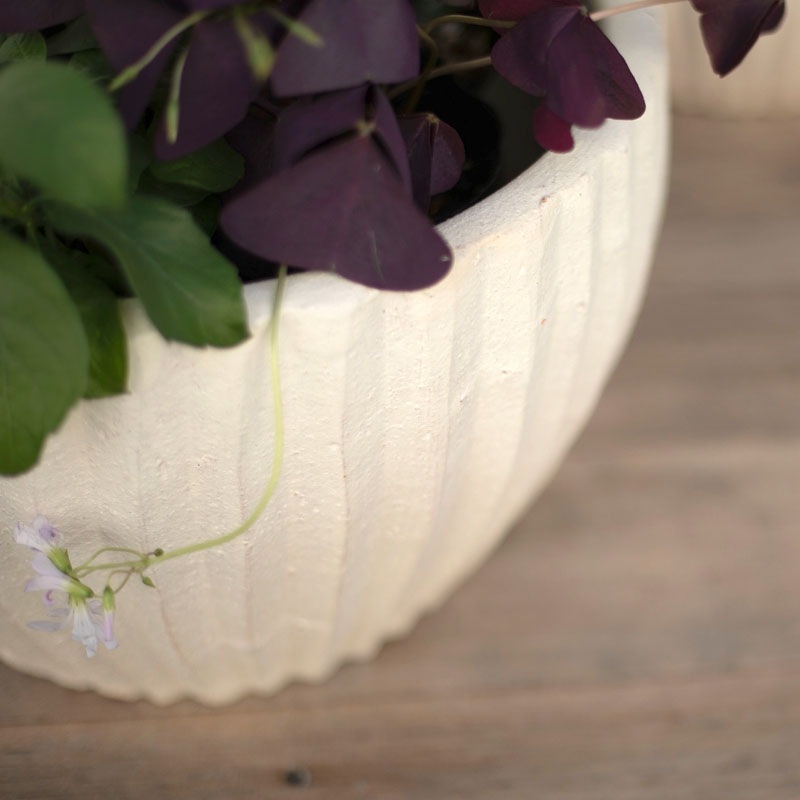 E-40W ���ھ���