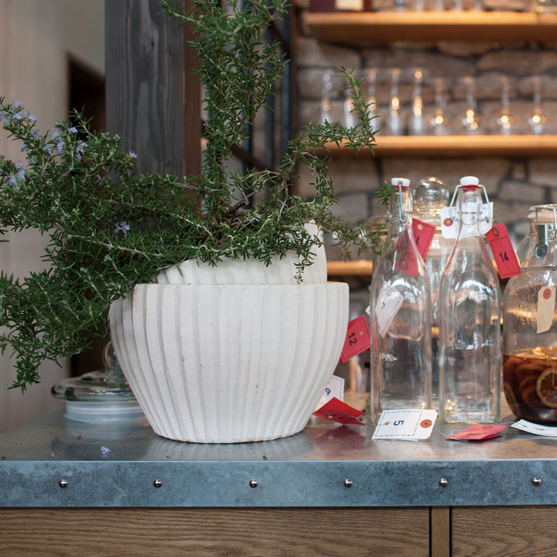 E-40W ���ھ���