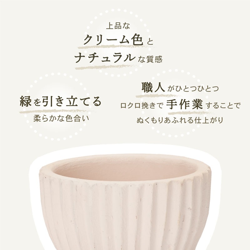 E-40W ���ھ���