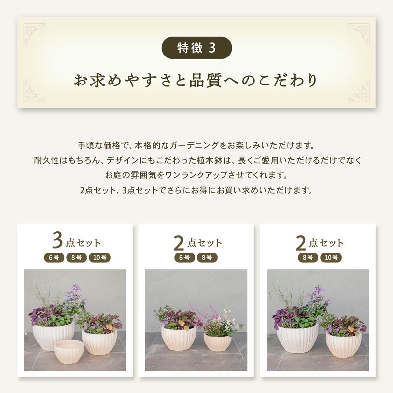 E-40W ���ھ���