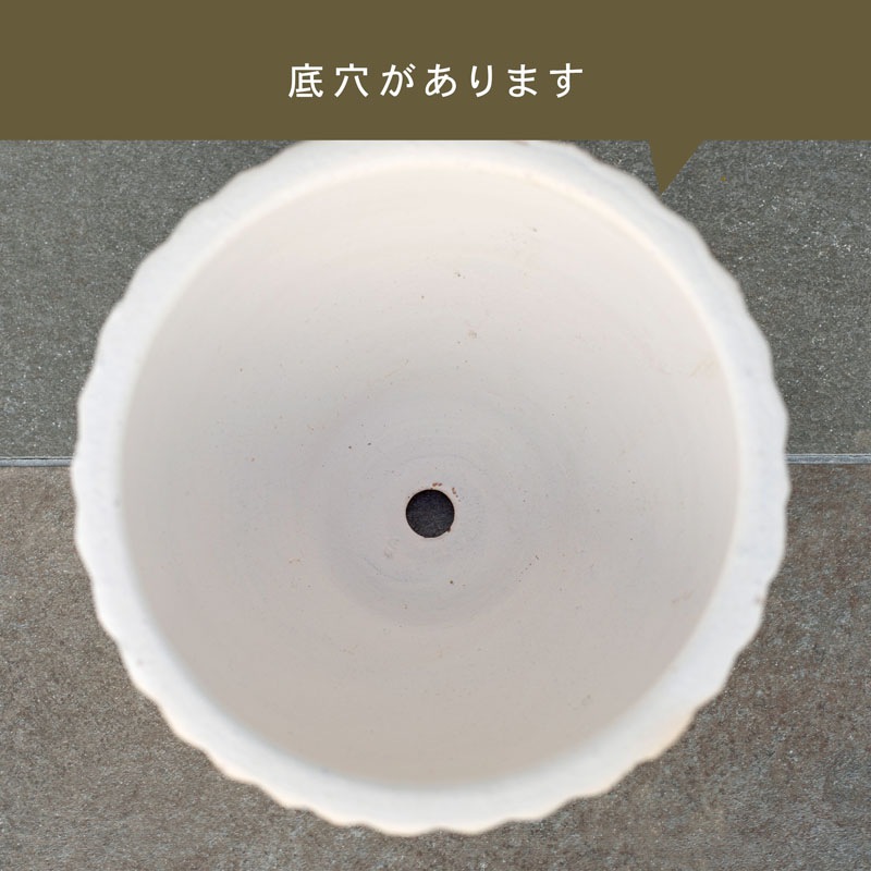 E-40W ���ھ���