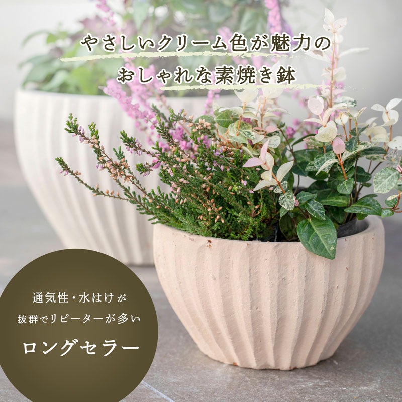 E-40W ���ھ���