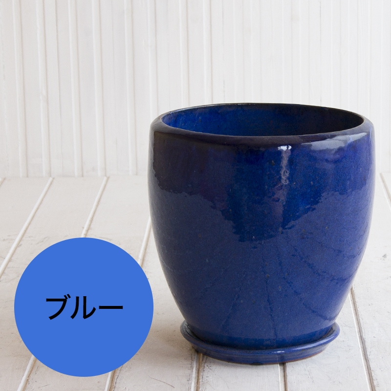 �ɥ��� �������դ�