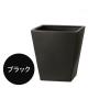 WY10 �ޥå�