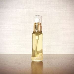 ���֤ε��ꥪ�������������ˡ�ζ޷�᡿��夦���󤳤���