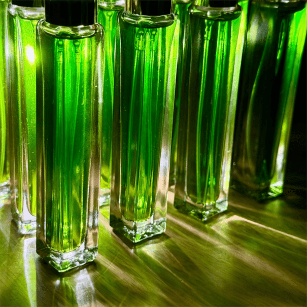 �ڴ��ָ���ͽ������ۥܥ��˥��롦������ɡ�������ɤαɸ�