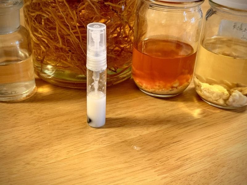 ��ʬ�������������