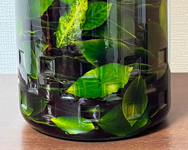 �ڸ�������Ρۥܥ��˥��롦�������〜������ɤαɸ�〜30ml