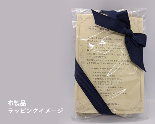 ��åԥ󥰡ʥե쥰��󥹡������ʡ�