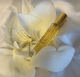 ����������ϡ�β֡�15ml , 30ml