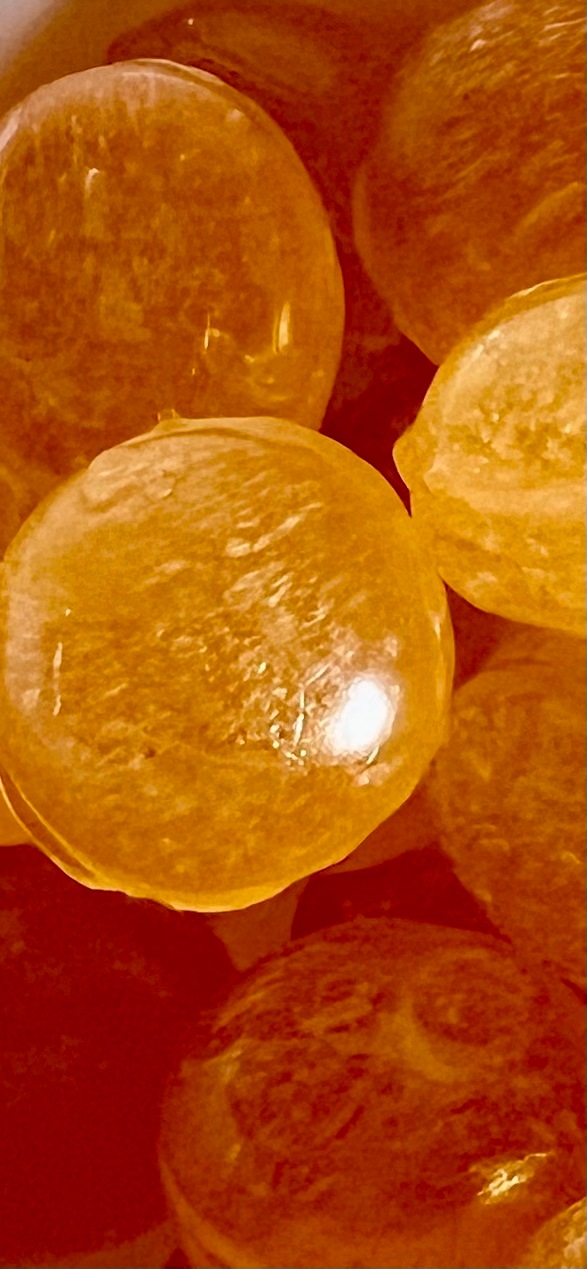 ��������ͣ���ζ޷�ᥭ���ǥ��ۡإץ�ߥ���١إۥ磻�ȥɥ饴��ϥˡ��ʲ��ˡ٣���Υƥ����ƥ��󥰥��åȡʡ֤��Τ��˿���븦�������Ѥ����