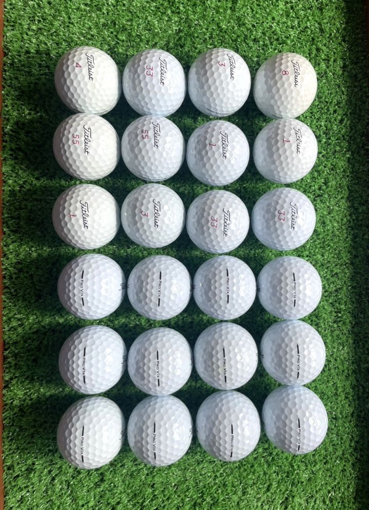 【S90】Titleist PRO V1 白 21年 ロストボール 24球 新品に近い 送料込み タイトリスト PRO V1x ロストボール 24球