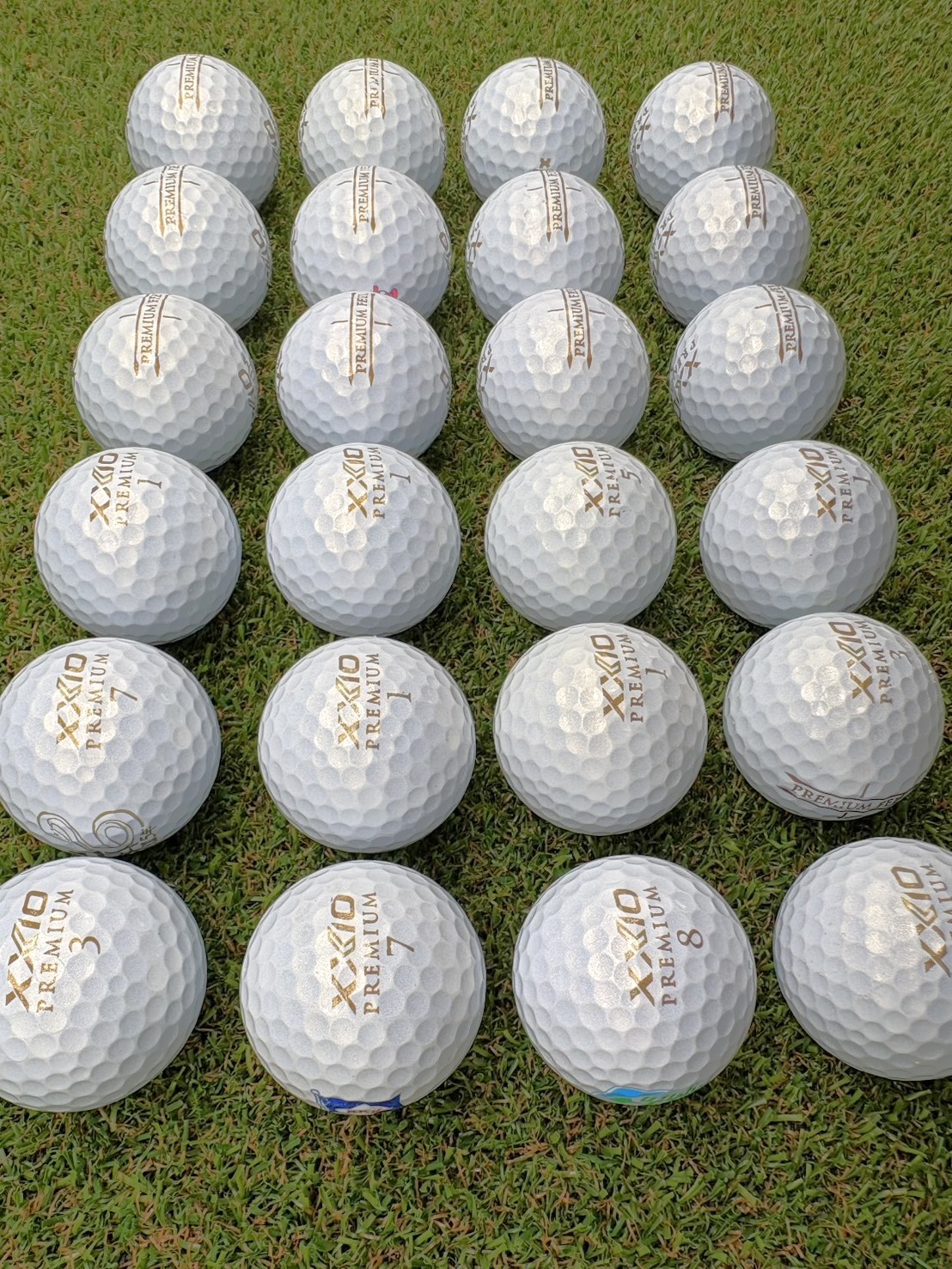 XXIO  PREMIUM FEEL 2024  ロイヤルゴールド 24球【品質★★★～★★】