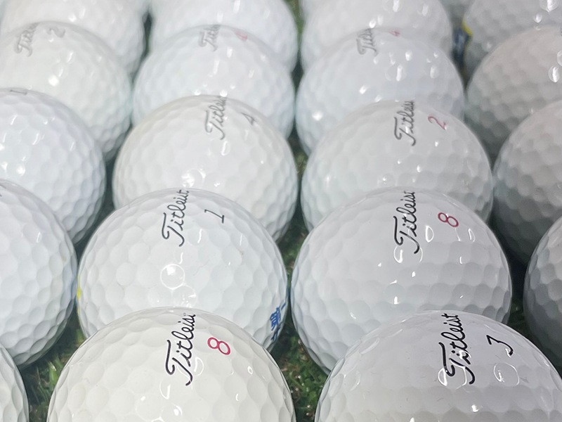 【極み】タイトリスト　ProV1・V1x　年代不問　 白色　50球セット