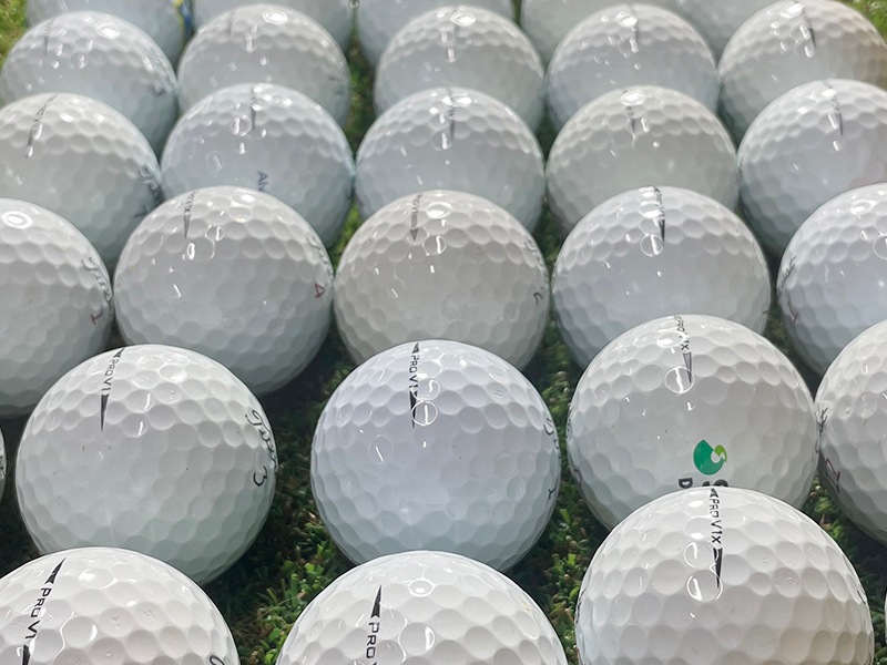 【極み】タイトリスト　ProV1・V1x　年代不問　 白色　50球セット