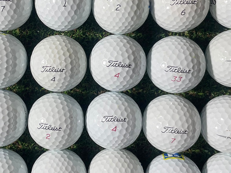 【極み】タイトリスト　ProV1・V1x　年代不問　 白色　50球セット