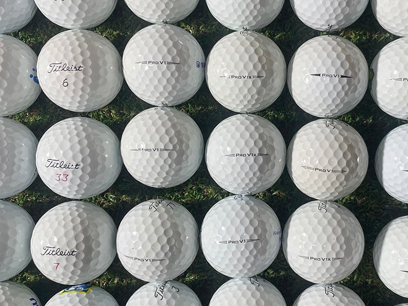 【極み】タイトリスト　ProV1・V1x　年代不問　 白色　50球セット