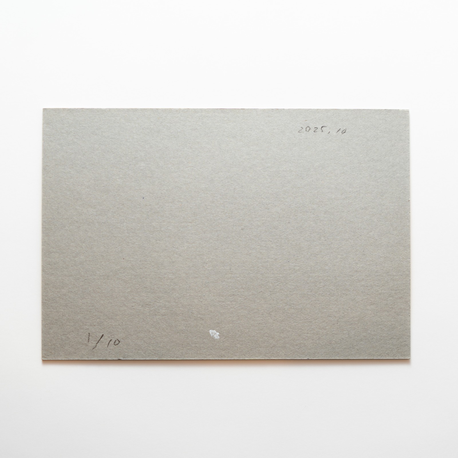 ��Ʋ�������ۥ�������åȥ������ˡ�2008  16ǯ��������ʣ�������դ�