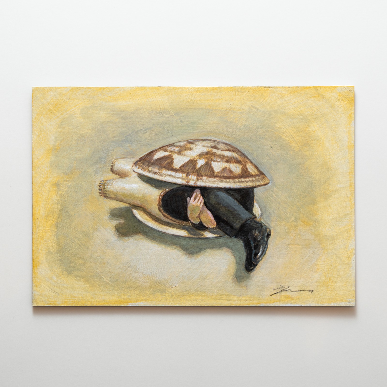 ��Ʋ�������ۥ�������åȥ������ˡ�2008  16ǯ��������ʣ�������դ�