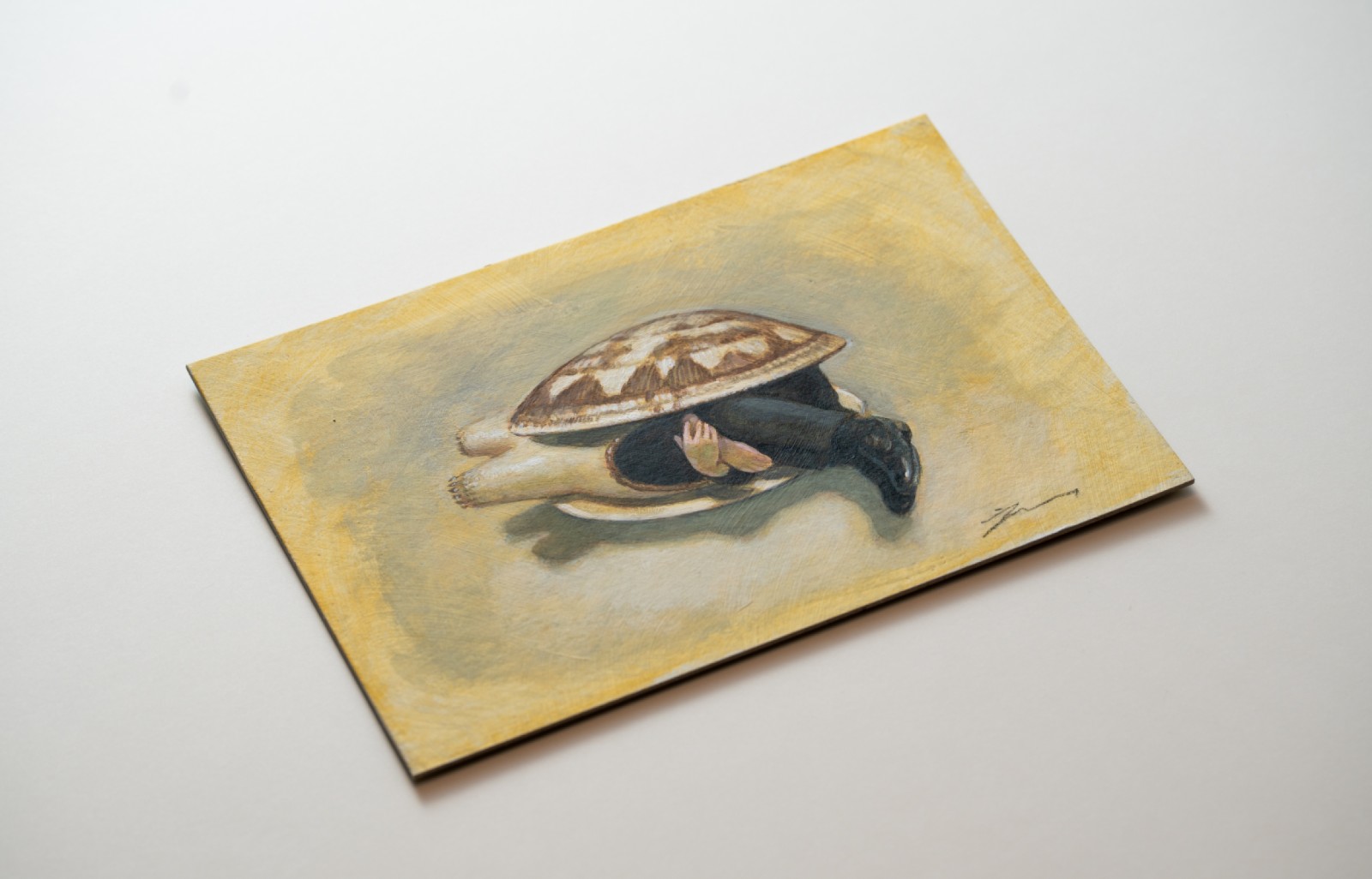 ��Ʋ�������ۥ�������åȥ������ˡ�2008  16ǯ��������ʣ�������դ�