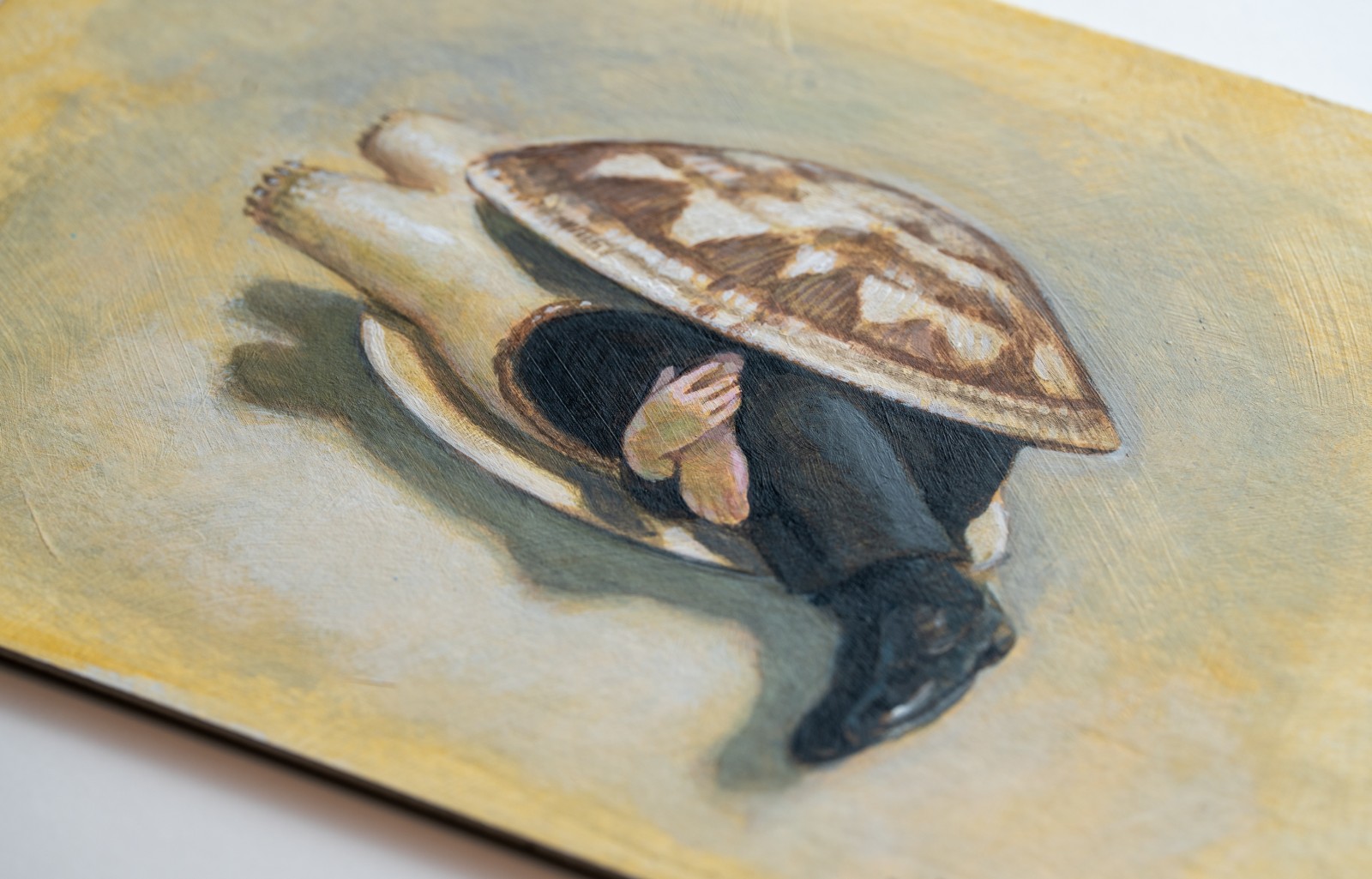 ��Ʋ�������ۥ�������åȥ������ˡ�2008  16ǯ��������ʣ�������դ�