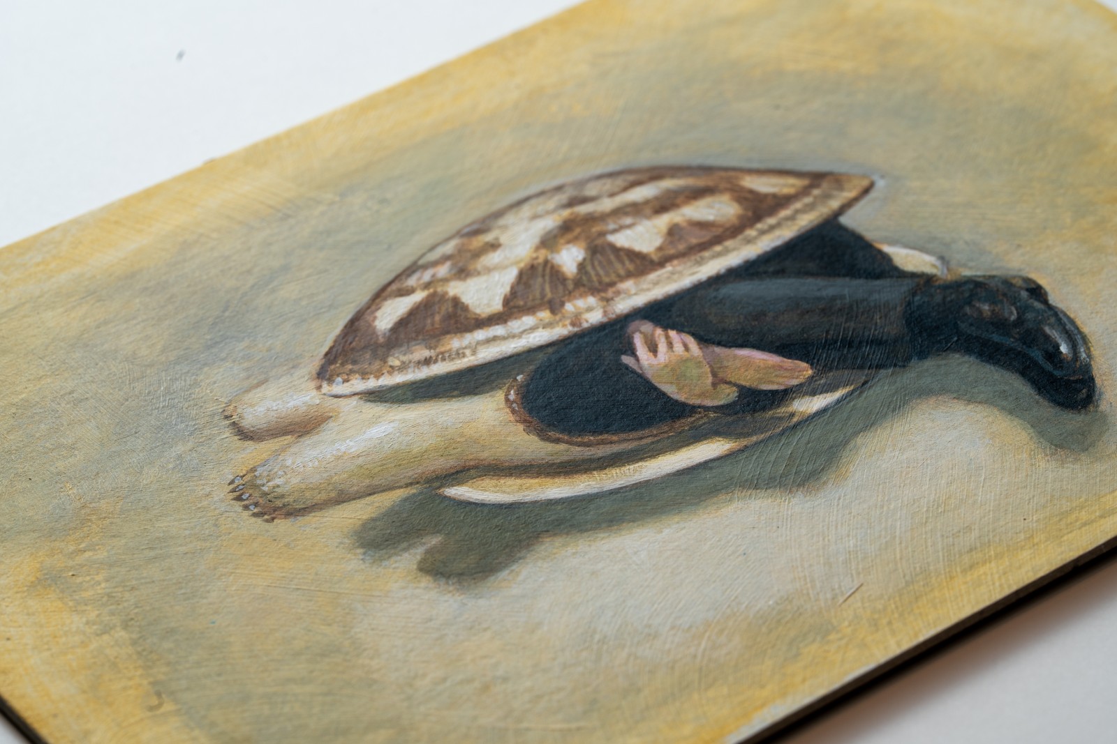 ��Ʋ�������ۥ�������åȥ������ˡ�2008  16ǯ��������ʣ�������դ�