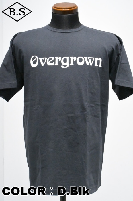 ブランド別 / ササフラス SASSAFRAS Tシャツ SF-252259 OVERGROWN T 1