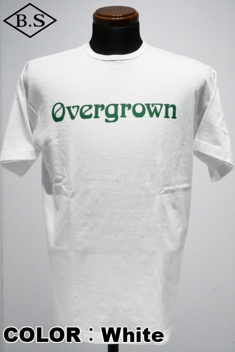 ブランド別 / ササフラス SASSAFRAS Tシャツ SF-252259 OVERGROWN T 1
