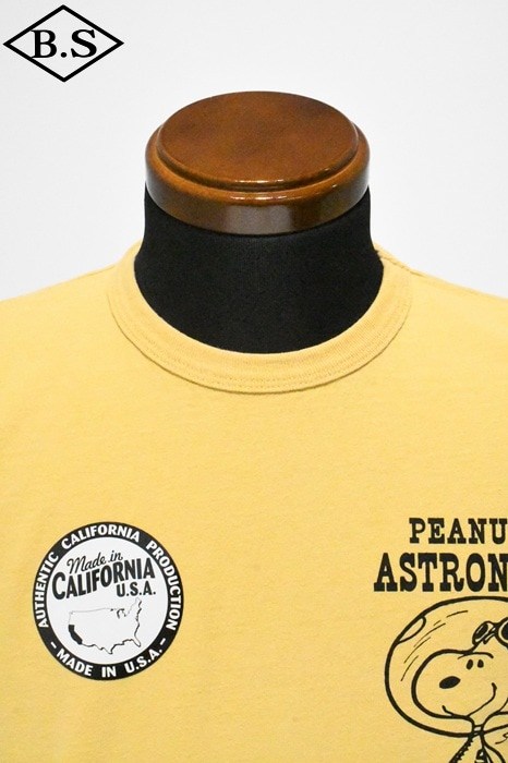 Tシャツ / ヴィンテージ ピーナッツ Vintage PEANUTS Tシャツ PEST